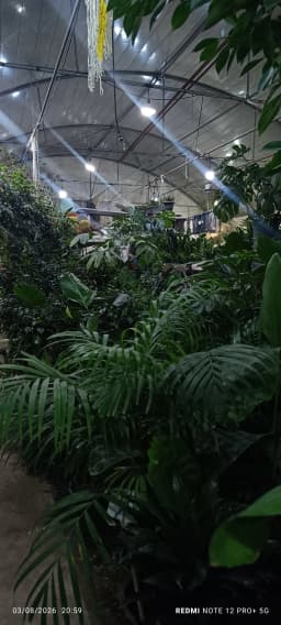 booth image